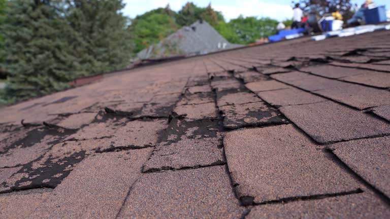 Best Skylight Installation and Repair  in Lawrence, NY